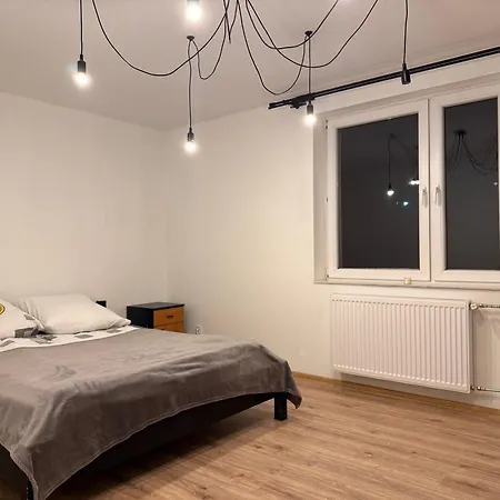 招待所 Silesia Mlyn *