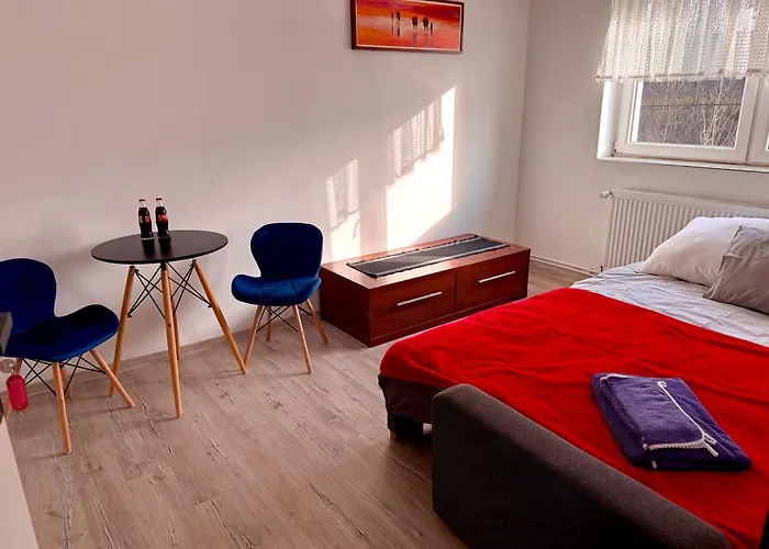 Silesia Mlyn 招待所 *