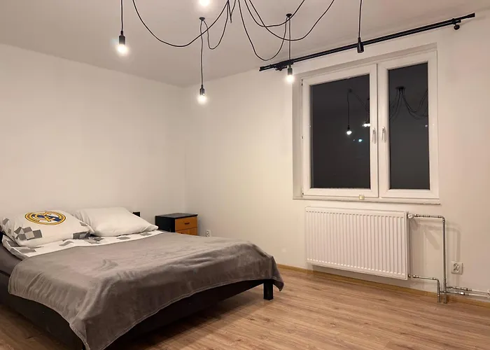 招待所 Silesia Mlyn *