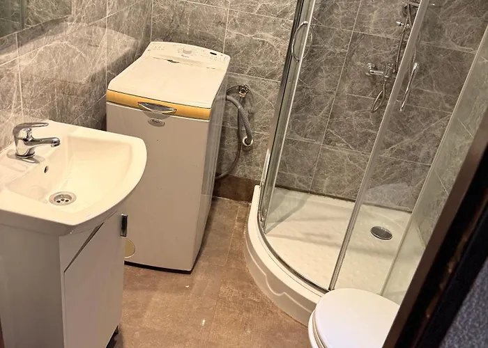 Silesia Mlyn 招待所 *