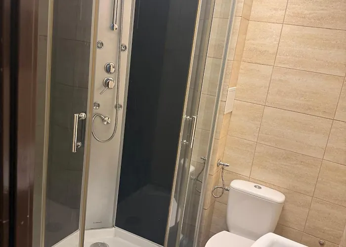 Silesia Mlyn * 卡托维兹