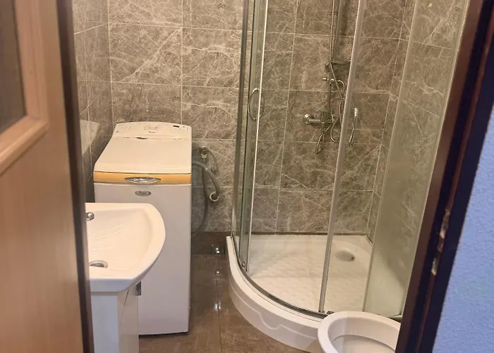 Silesia Mlyn * 卡托维兹