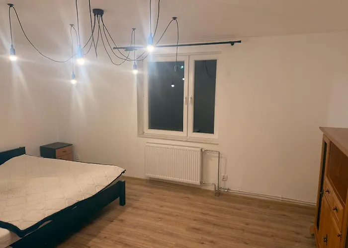 Silesia Mlyn 招待所